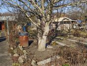 Ogródek Działkowy Działka 480m2 ROD Dobry Gospodarz ul. Klecińska