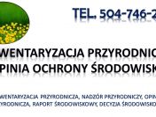 Wykonanie inwentaryzacji przyrodniczej, raportu środowiskowego, tel. 504-746-203