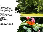 Działka budowlana, warunki zabudowy karta informacyjna przedsięwzięcia