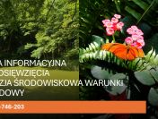Uzyskanie decyzji środowiskowej na budowę tel. 504-746-203