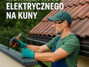 Usługi po kunach – sprzątanie, dezynfekcja i naprawa, tel. 504-746-203, Wrocław