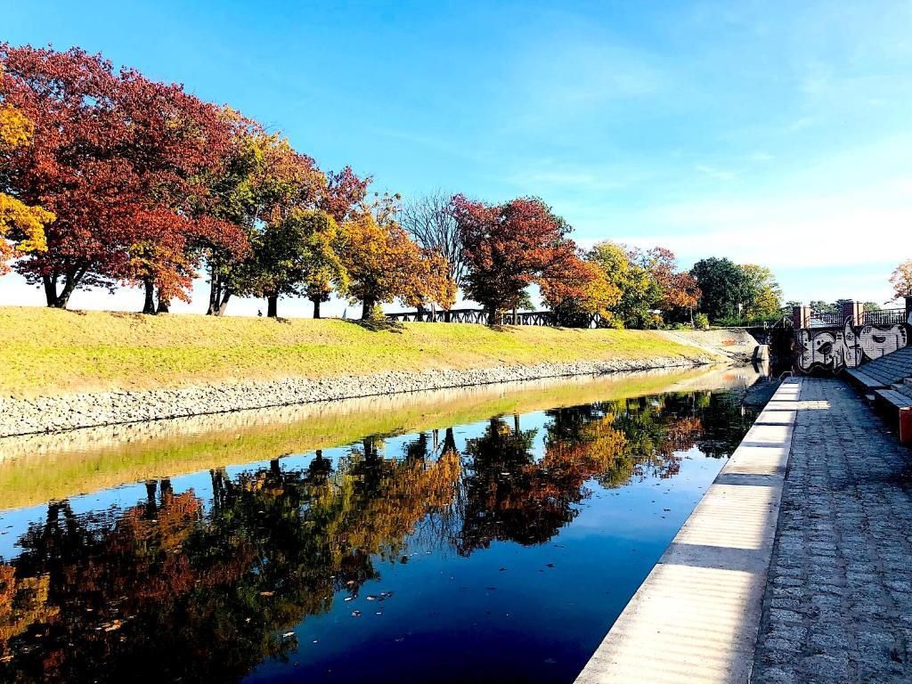 2pok, 48met, al. Marcina Kromera PIWNICA/PARKING (Wrocław) Wrocław - Karłowice - Zdjęcie 1