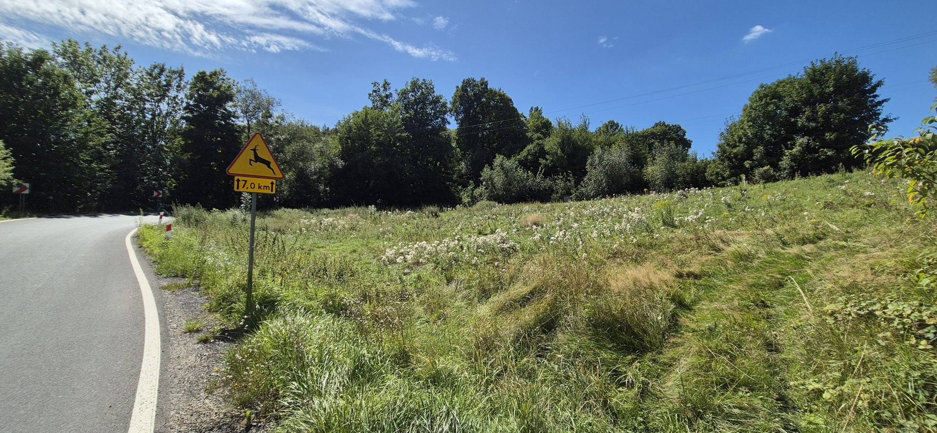 Działka 1885 m² przy drodze – uzgodniony zjazd z drogi powiatowej – Wojcieszów  - Zdjęcie 1