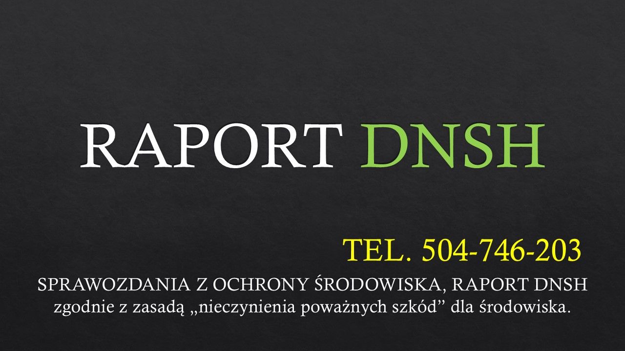Reguła DNSH, raporty, pomoc , cena za sprawozdanie, tel. 504-746-203  - Zdjęcie 1