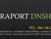 Reguła DNSH, raporty, pomoc , cena za sprawozdanie, tel. 504-746-203