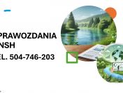 Analiza DNSH, ocena zgodności raportu, tel. 504-746-203