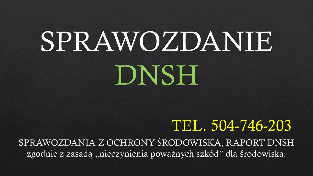 Wykonanie analizy DNSH, tel. 504-746-203 , cennik  - Zdjęcie 1