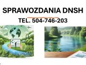 Jak napisać raport DNSH ? , tel. 504-746-203, sprawozdanie