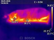 Lokalizacja zaginionych zwierząt kamerą termowizyjną, tel. 504-746-203