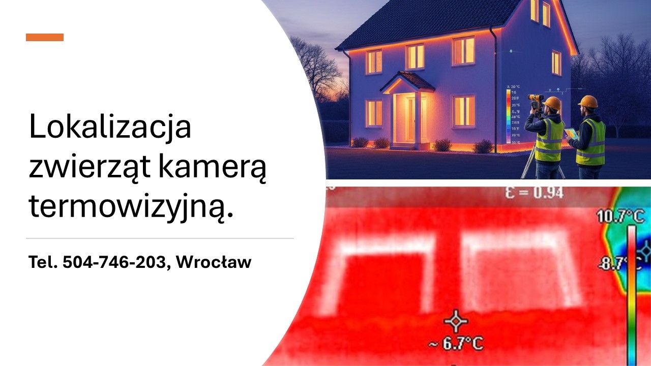 Odnajdywanie zwierząt kamerą termowizyjną, lokalizowanie, tel. 504-746-203  - Zdjęcie 1
