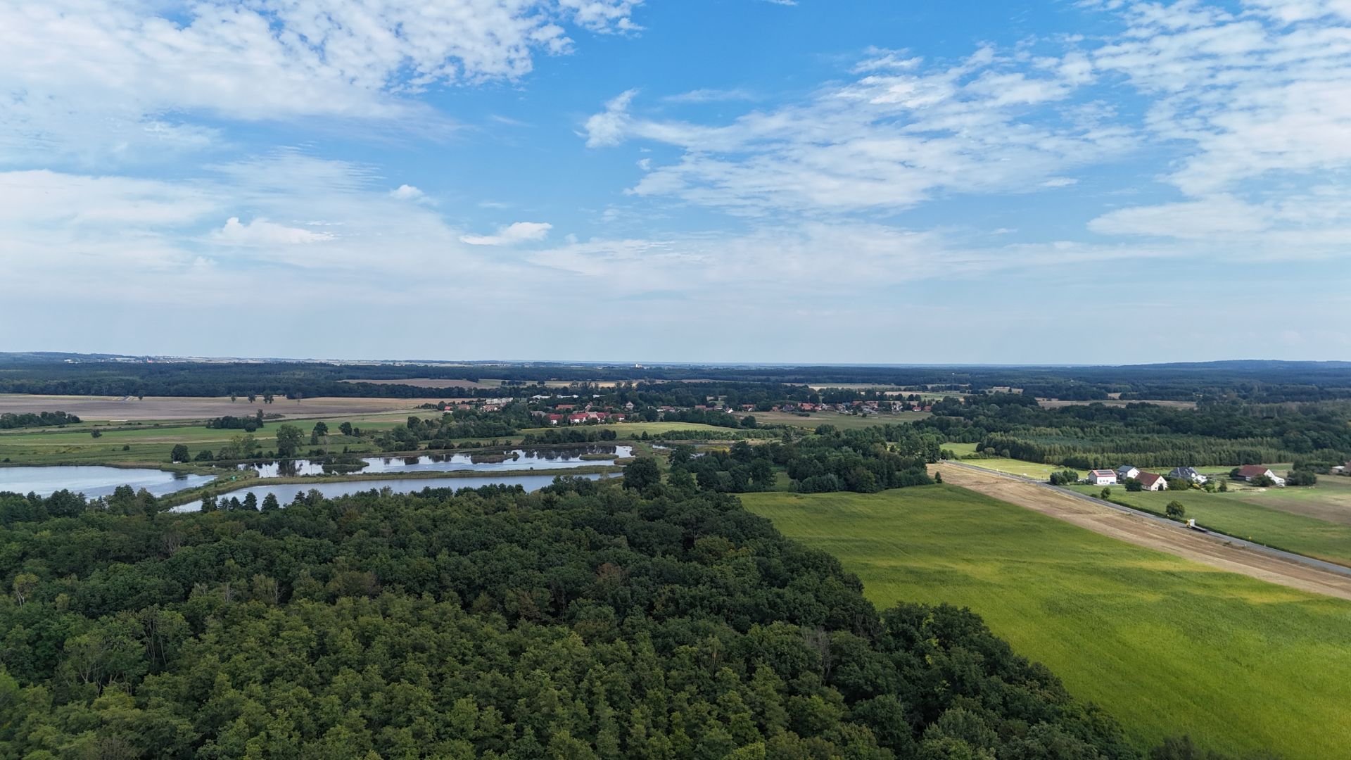 Na sprzedaż działki rekreacyjne w lesie-50 minut od Wrocławia! Stary Wołów - Zdjęcie 1