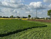 Działka budowlana (3000 m2) MEDIA (Żórawina)