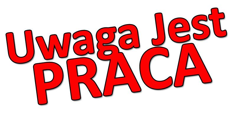 Pracownik Działu Ekspedycji - Apeldoorn, Holandia  - Zdjęcie 1