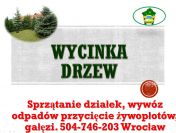Wycinanie drzew,  cena tel 504-46-203, Wrocław, Usuwanie drzew, wywóz