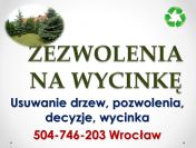 Wycinka drzew, tel 504-746-203, pozwolenie na wycięcie drzewa, Wroclaw, cena