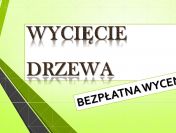 Wycięcie drzewa cena, tel. 504-746-203. ścięcie, wycinka  Wrocław