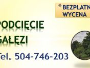 Przycięcie drzew, gałęzi, tel 504-746-203, podcięcie drzewa, Wrocław