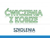 Raport do Kobize, szkolenie, cena, Wrocław, wykaz, raportowanie,