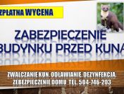 Zabezpieczenie domu przed kuną, tel. 504-746-203, płoszenie, zwalczanie, Wrocław