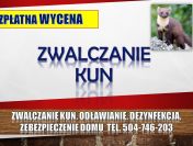 Zwalczanie kun, tel. 504-746-203, odławianie, zabezpieczenie domu