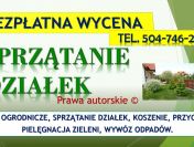 Uporządkowanie działki, cennik tel. 504-746-203. Porządkowanie ogrodu