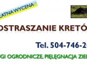 Zwalczanie kretów, cennik, tel. 504-746-203. Wrocław. Usuwanie, gazowanie.