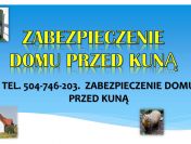 Łapka na kuny, tel. 504-746-203, odłowienie i zabezpieczenie domu