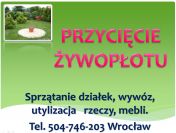 Sprzątanie ogródków działkowych, Wrocław. Tel. 504-746-203. Cennik usługi